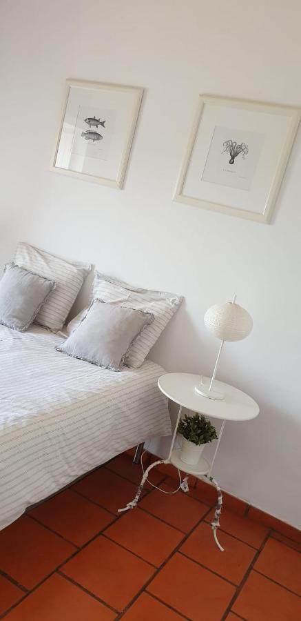 Comporta House Villa ภายนอก รูปภาพ